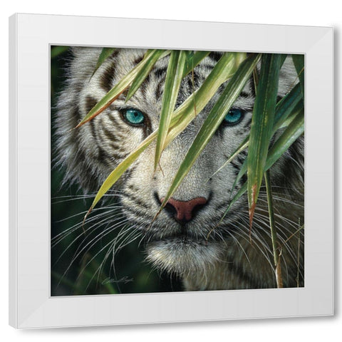 White Tiger Bamboo Forest White Modern Wood Framed Art Print by Bogle, Collin