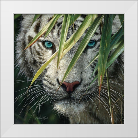 White Tiger Bamboo Forest White Modern Wood Framed Art Print by Bogle, Collin