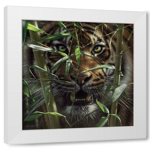 Hungry Eyes White Modern Wood Framed Art Print by Bogle, Collin