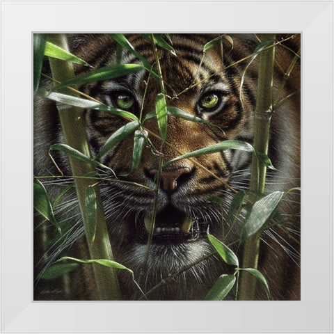 Hungry Eyes White Modern Wood Framed Art Print by Bogle, Collin