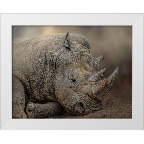 Resting Giant White Modern Wood Framed Art Print by Parker, Kelley