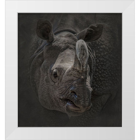 Man with an Attitude White Modern Wood Framed Art Print by Parker, Kelley