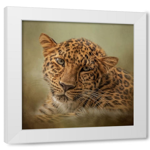 Green Eyes White Modern Wood Framed Art Print by Parker, Kelley