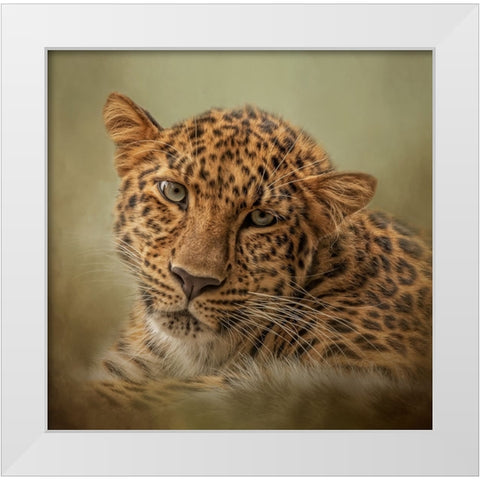 Green Eyes White Modern Wood Framed Art Print by Parker, Kelley