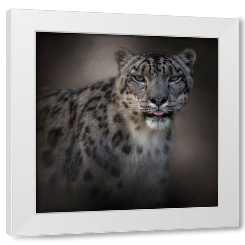 Himalayan Queen White Modern Wood Framed Art Print by Parker, Kelley