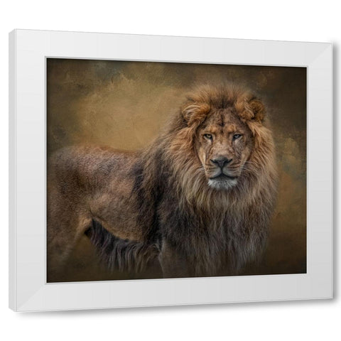 In His Prime White Modern Wood Framed Art Print by Parker, Kelley