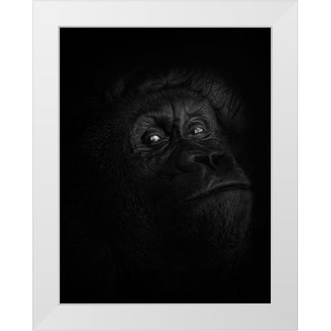 Peaceful Giant White Modern Wood Framed Art Print by Parker, Kelley