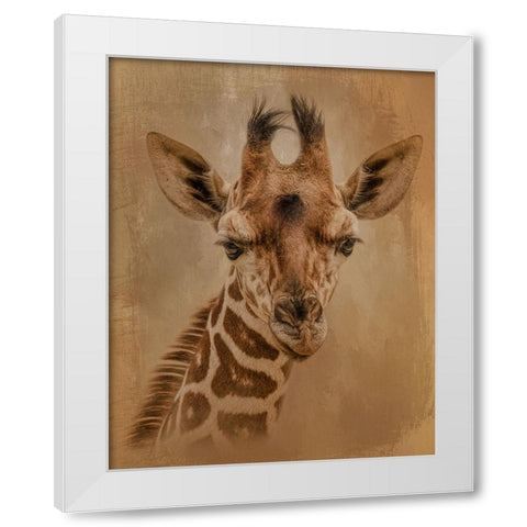 Gentle Giant White Modern Wood Framed Art Print by Parker, Kelley