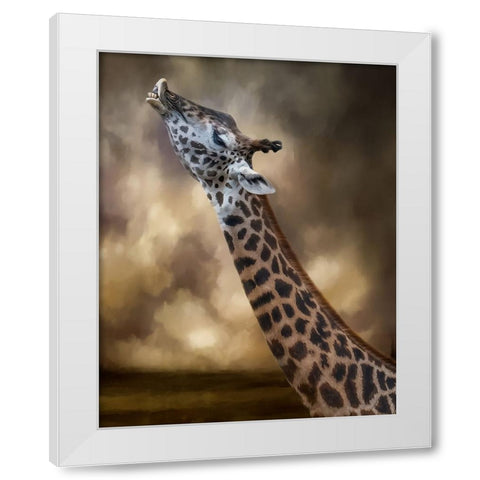 Stretch White Modern Wood Framed Art Print by Parker, Kelley