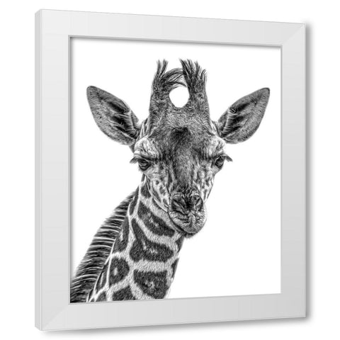 Young One White Modern Wood Framed Art Print by Parker, Kelley