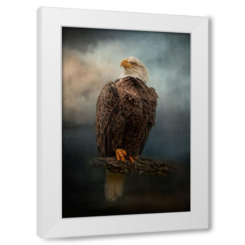 Master of the Sky White Modern Wood Framed Art Print by Parker, Kelley