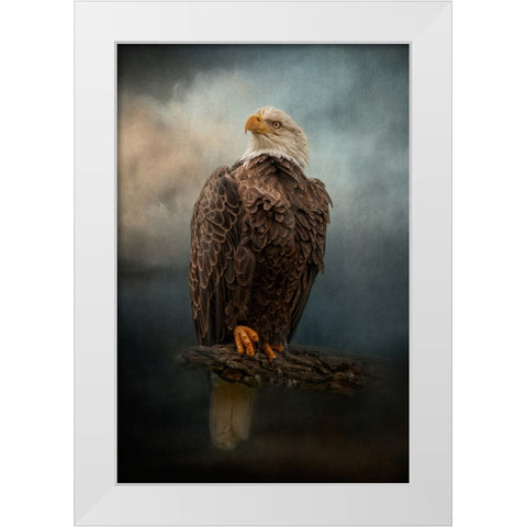 Master of the Sky White Modern Wood Framed Art Print by Parker, Kelley