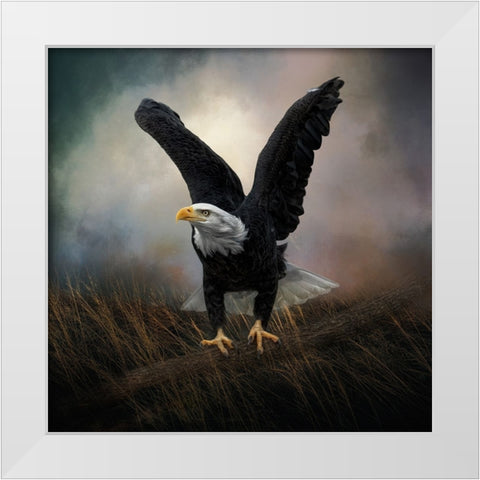 Morning Stretch White Modern Wood Framed Art Print by Parker, Kelley