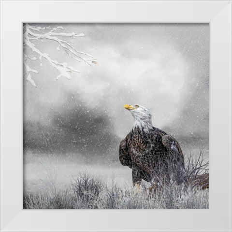 Winter Daydreaming White Modern Wood Framed Art Print by Parker, Kelley