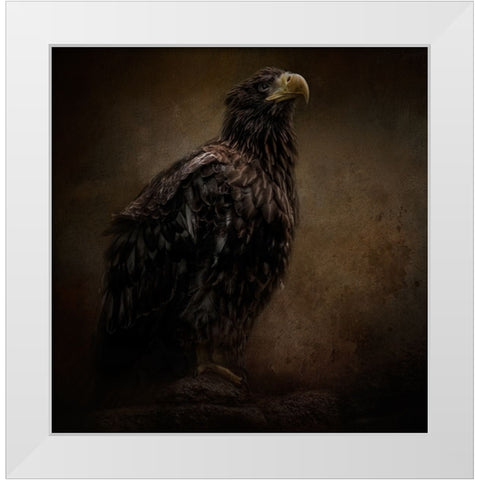 Facing the Unknown White Modern Wood Framed Art Print by Parker, Kelley