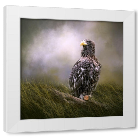 On Watch White Modern Wood Framed Art Print by Parker, Kelley