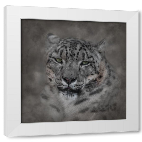 Cold Stare White Modern Wood Framed Art Print by Parker, Kelley