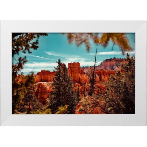 Bryce Canyon White Modern Wood Framed Art Print by Singleton, Ashley