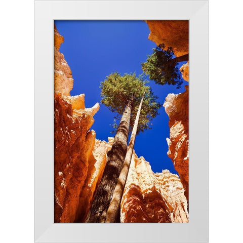 Standing Tall White Modern Wood Framed Art Print by Singleton, Ashley