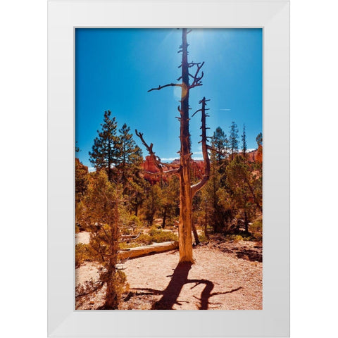 Timeless Treasures White Modern Wood Framed Art Print by Singleton, Ashley