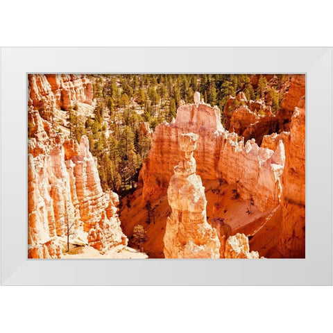 Hoo Doo White Modern Wood Framed Art Print by Singleton, Ashley