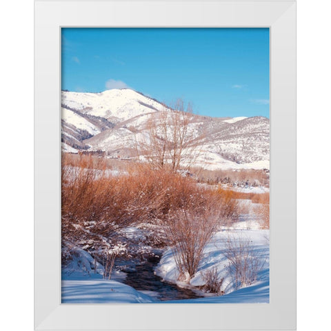 Winterscape White Modern Wood Framed Art Print by Singleton, Ashley