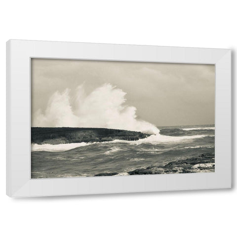 Splash Zone II White Modern Wood Framed Art Print by Singleton, Ashley