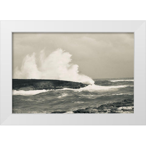 Splash Zone II White Modern Wood Framed Art Print by Singleton, Ashley