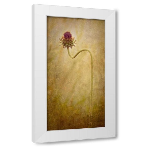 Thistle White Modern Wood Framed Art Print by Murdock, Ramona