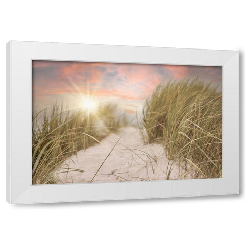 Beach Grass and Sun White Modern Wood Framed Art Print by Moss, Tara