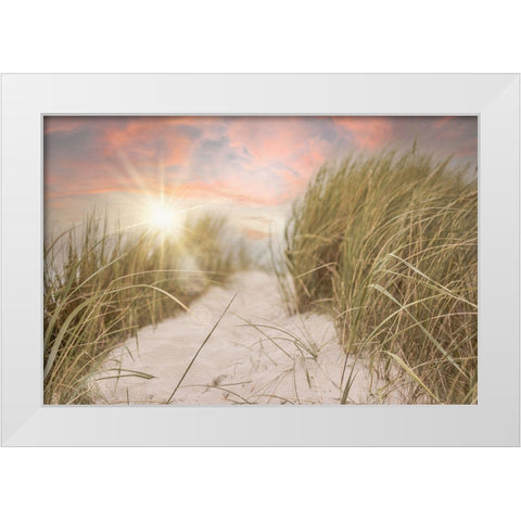Beach Grass and Sun White Modern Wood Framed Art Print by Moss, Tara