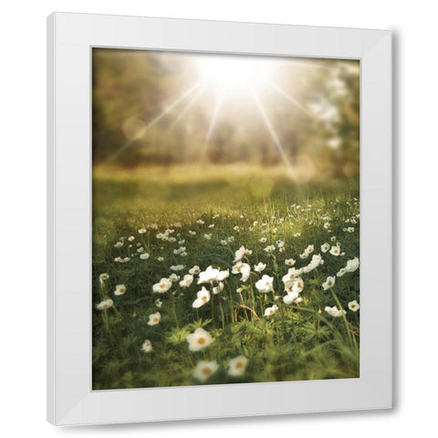 Field and Sun White Modern Wood Framed Art Print by Moss, Tara
