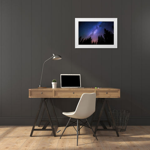 Conifers and Milky Way White Modern Wood Framed Art Print by Dundon, Denise