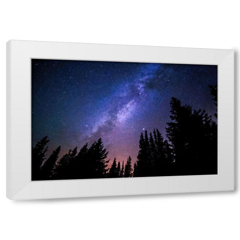 Conifers and Milky Way White Modern Wood Framed Art Print by Dundon, Denise