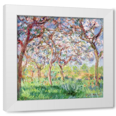 Printemps a Giverny White Modern Wood Framed Art Print by Monet, Claude