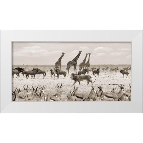 Sovereign passing by (Masai Mara-BW) White Modern Wood Framed Art Print by Pangea Images