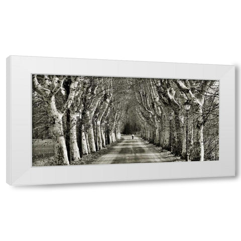 Come le foglie White Modern Wood Framed Art Print by Ferrua, Fulvio
