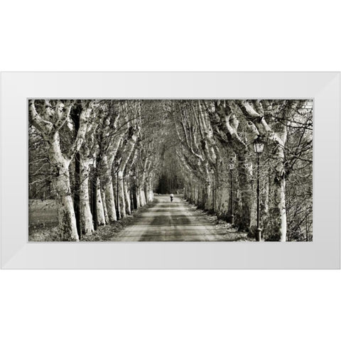 Come le foglie White Modern Wood Framed Art Print by Ferrua, Fulvio
