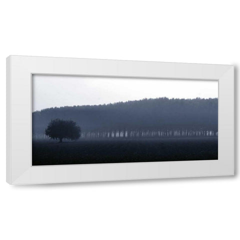 Sinfonia d autunno White Modern Wood Framed Art Print by Ferrua, Fulvio