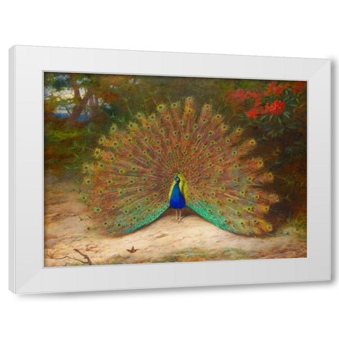 Peacock and Peacock Butterfly White Modern Wood Framed Art Print by Thorburn, Archibald