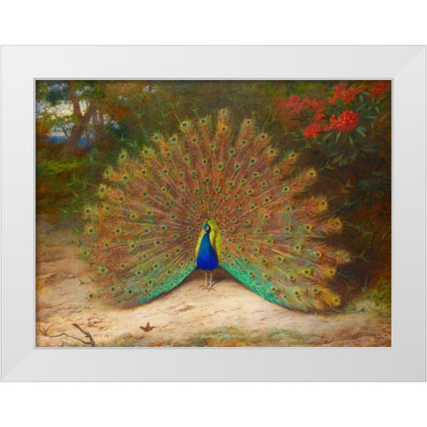 Peacock and Peacock Butterfly White Modern Wood Framed Art Print by Thorburn, Archibald