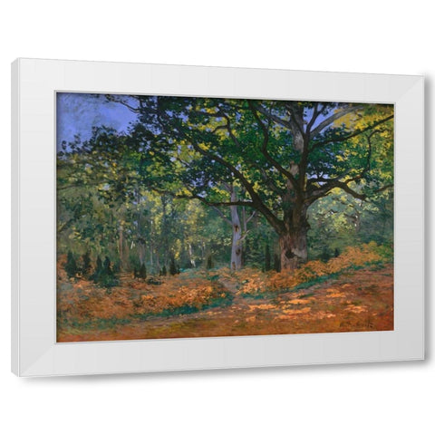 The Bodmer Oak Fontainebleau Forest White Modern Wood Framed Art Print by Monet, Claude