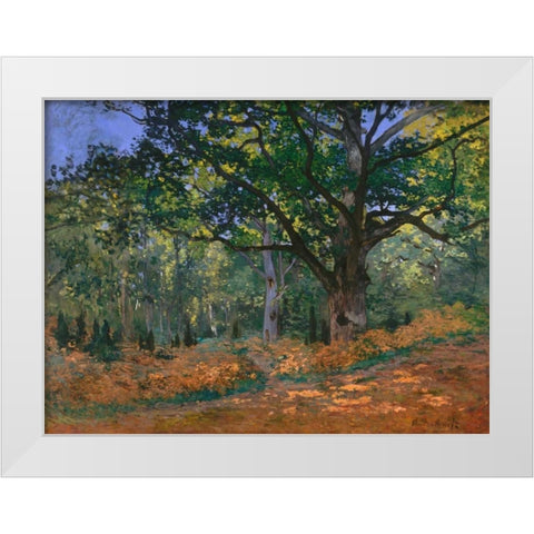 The Bodmer Oak Fontainebleau Forest White Modern Wood Framed Art Print by Monet, Claude