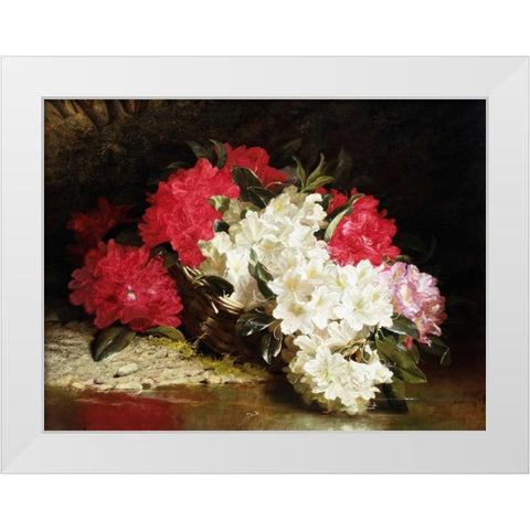 Azaleas White Modern Wood Framed Art Print by Fitz Marshall, John