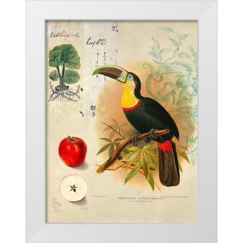 Cabinet of Curiosities n. 4 White Modern Wood Framed Art Print by Joannoo