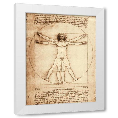 Vitruvian Man White Modern Wood Framed Art Print by da Vinci, Leonardo
