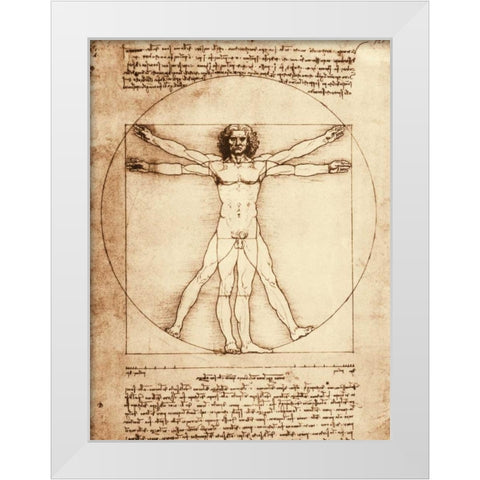 Vitruvian Man White Modern Wood Framed Art Print by da Vinci, Leonardo