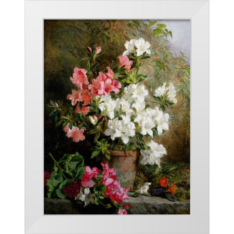Still Life of Azaleas White Modern Wood Framed Art Print by Feray Mutrie, Annie