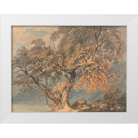 A Great Tree White Modern Wood Framed Art Print by Turner, William