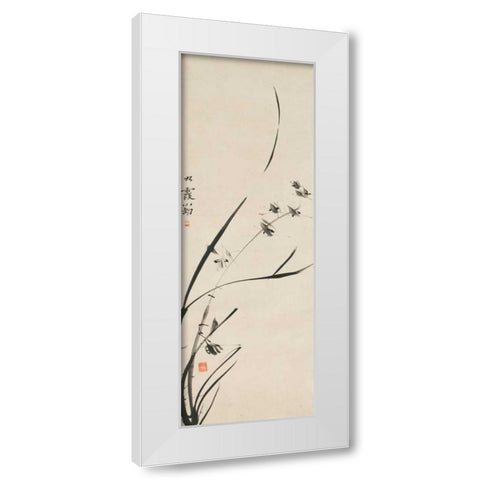 Orchids  White Modern Wood Framed Art Print by Anonymous